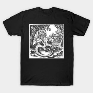 Lambspring Esoteric Alchemy Dragon Serpent Design T-Shirt